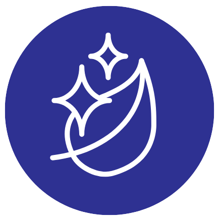 Icon (6)